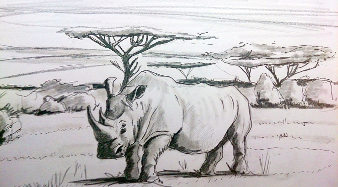 Como dibujar un rinoceronte en la sabana paso a paso a lapiz | How to draw a rhino at the savannah s